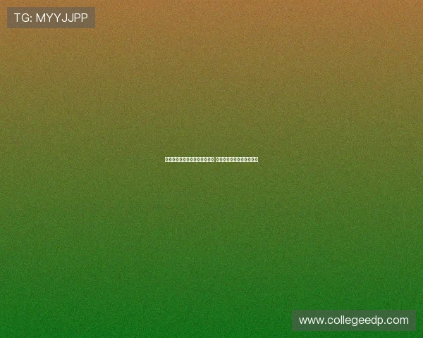 维尔纳随队前往法国参加热身赛 多名潜在离队球员一同出征