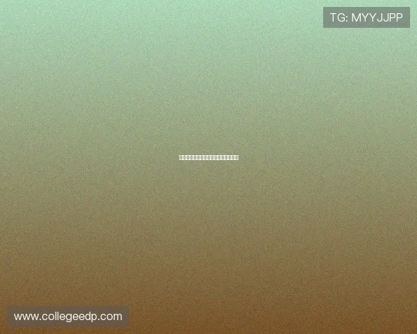 德甲豪门球队发展历程与未来展望解析